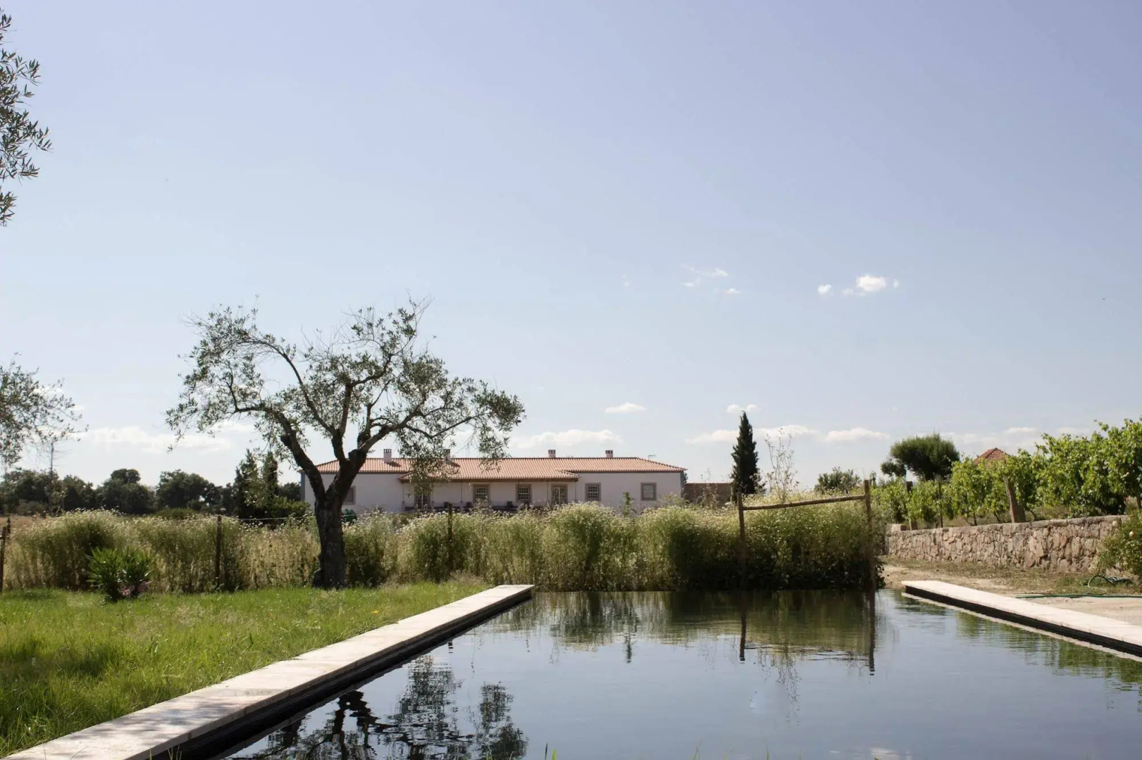 Quinta dos Carvalhos
