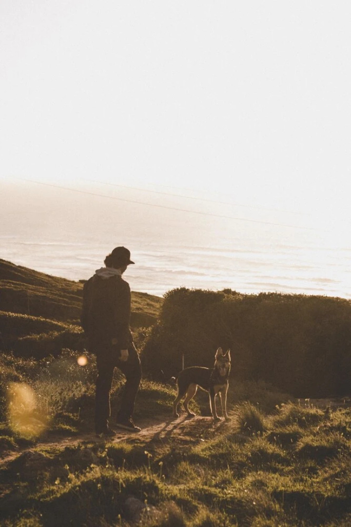 House With one Bedroom in Valongo, With Enclosed Garden and Wifi - 2 k