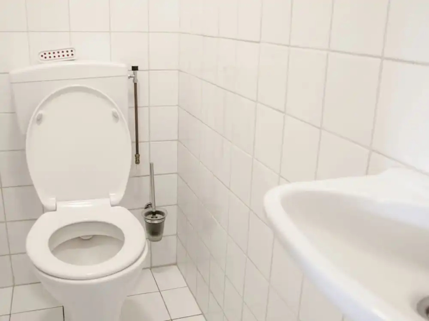 Characteristic house with a garden, surrounded by forest