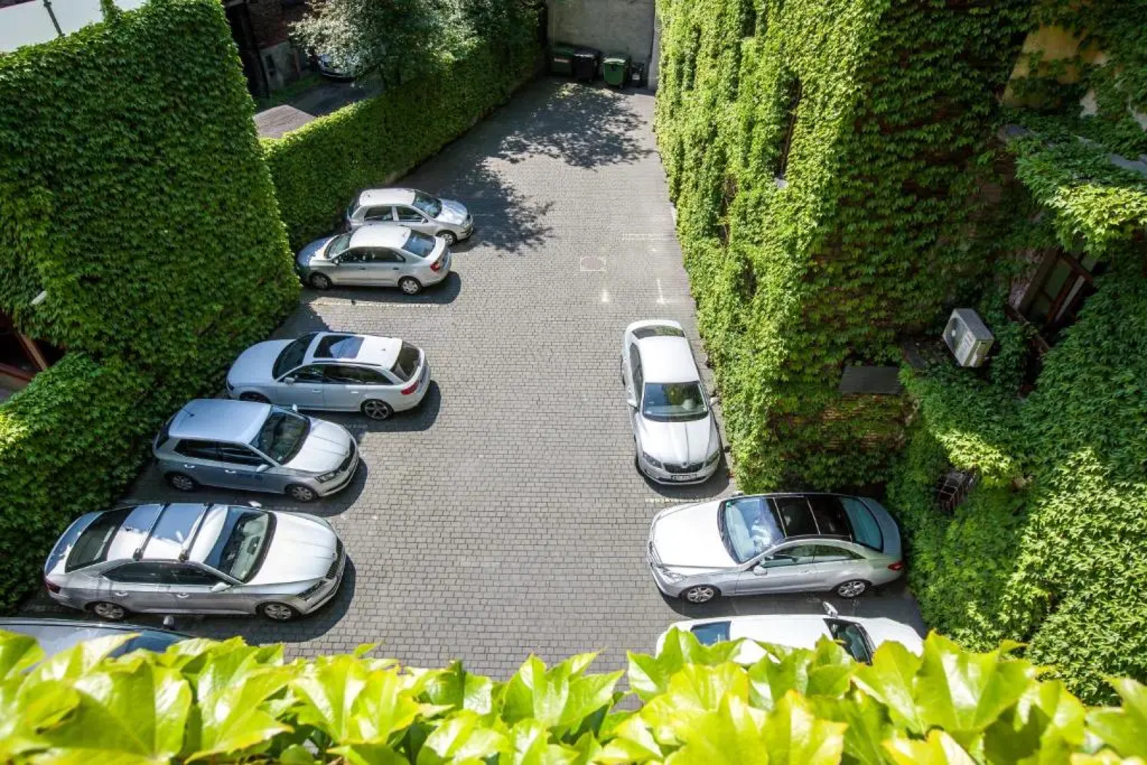 Hornigold w Zielonej Kamienicy