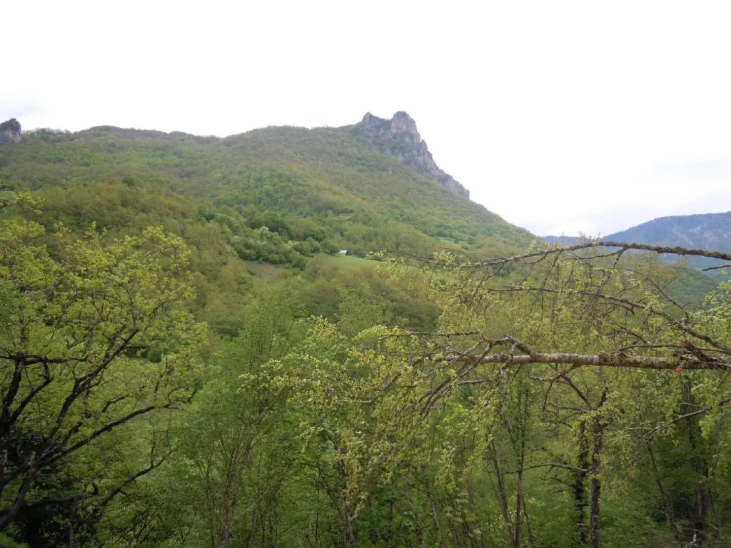 Rafting Camp Green Tara