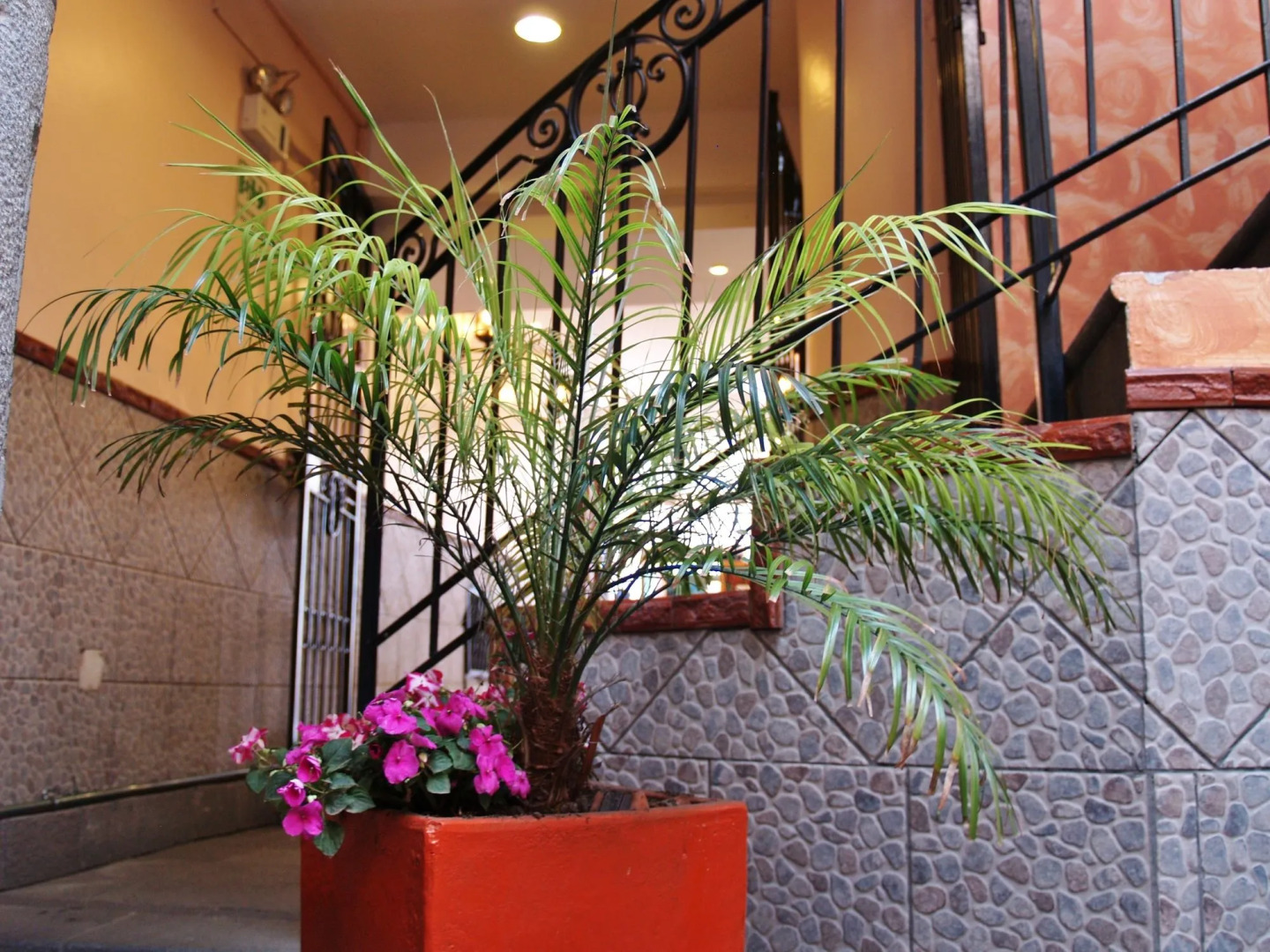 Rincón Familiar Hostel Boutique