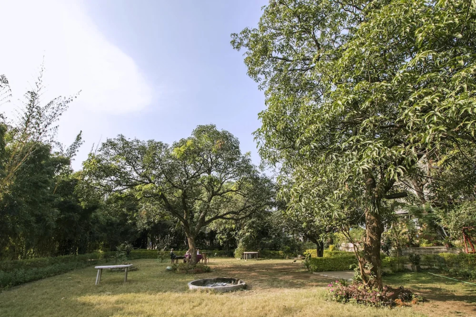 WOW STAYZ2 Misty Meadows