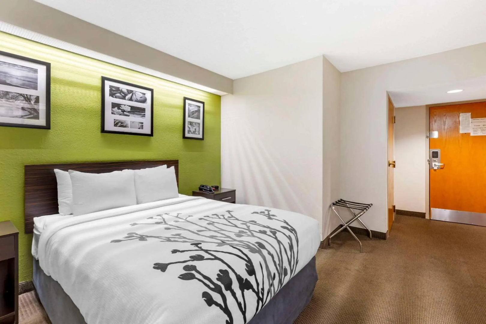 Sleep Inn at Greenville Convention Cente