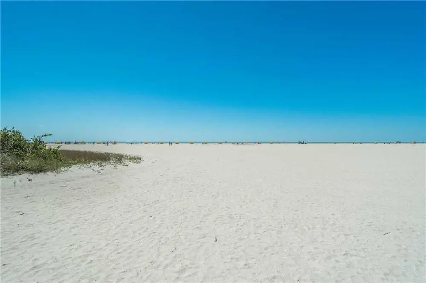 203 - Palms of Treasure Island