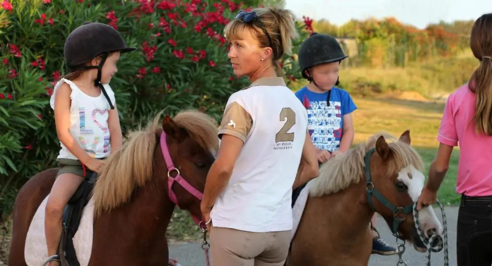 Jasses de Camargue - Lunel, Nîmes ouest