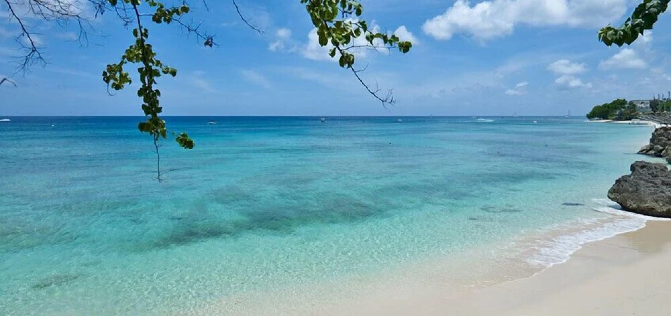 Sandy Cove 201 - Paradise