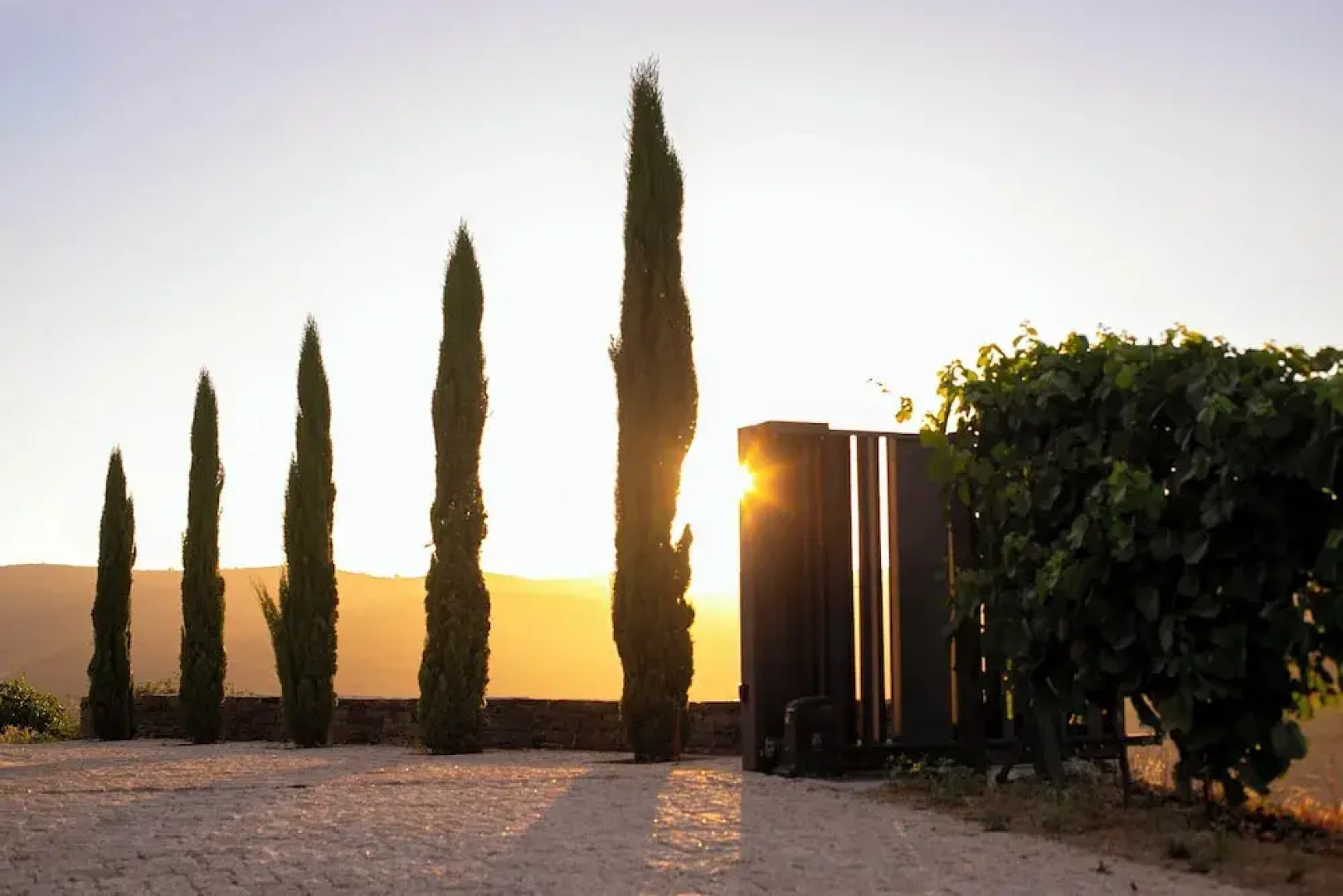 Quinta Vale de Lobos Douro