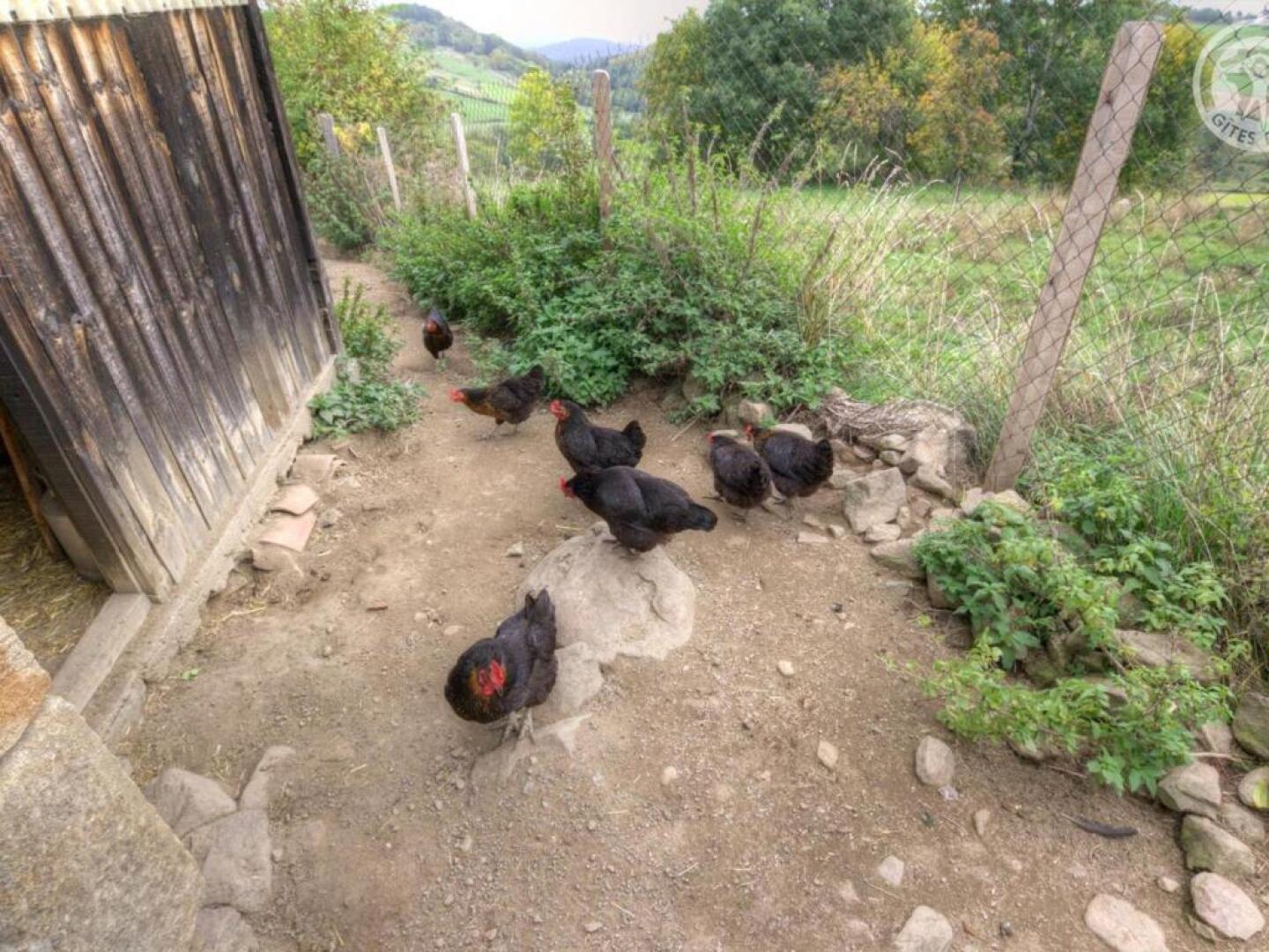 Gîte Saint-Bonnet-le-Courreau, 5 pièces, 6 personnes - FR-1-496-9