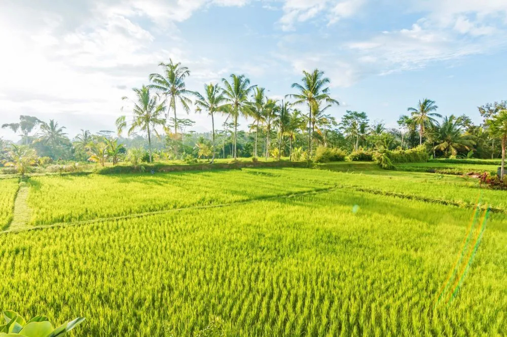 ZEN Rooms Kedisan Tegal Alang Ubud Villa