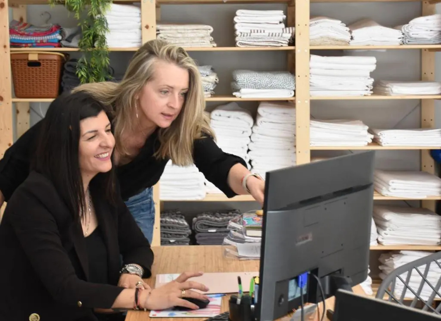 The apricot tree studio