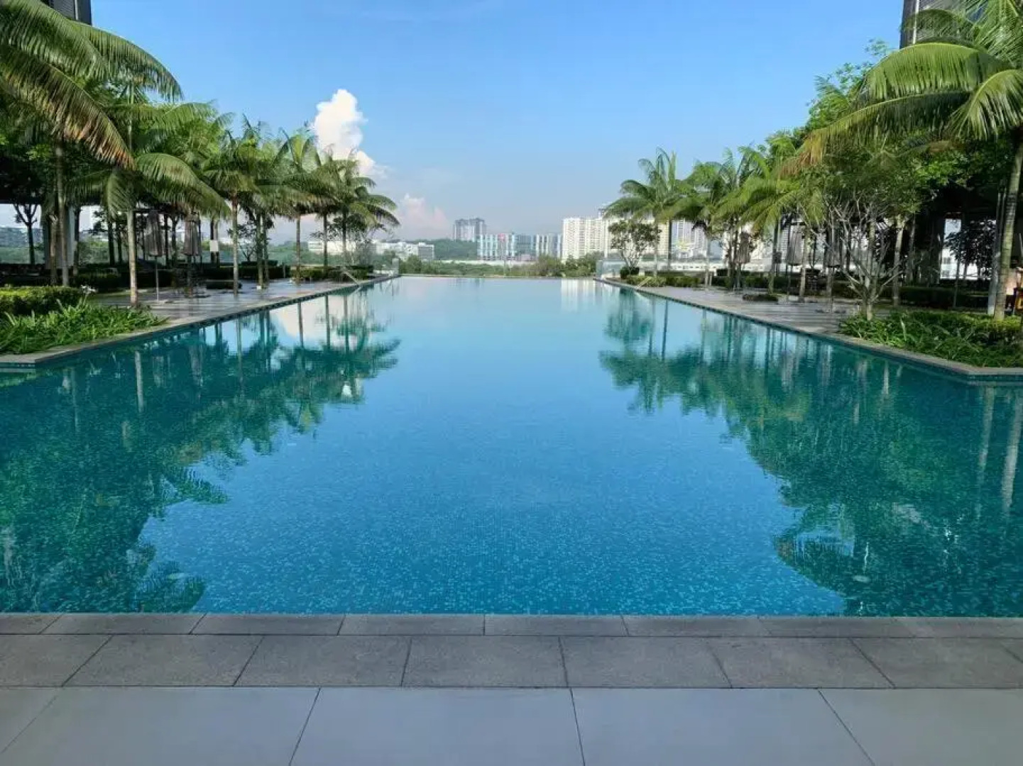 Paradise City Holiday (Netflix+Sanitize) 4