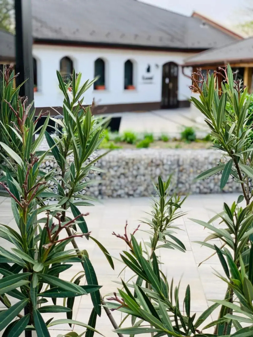 Pilisi Borház-Étterem & Panzió