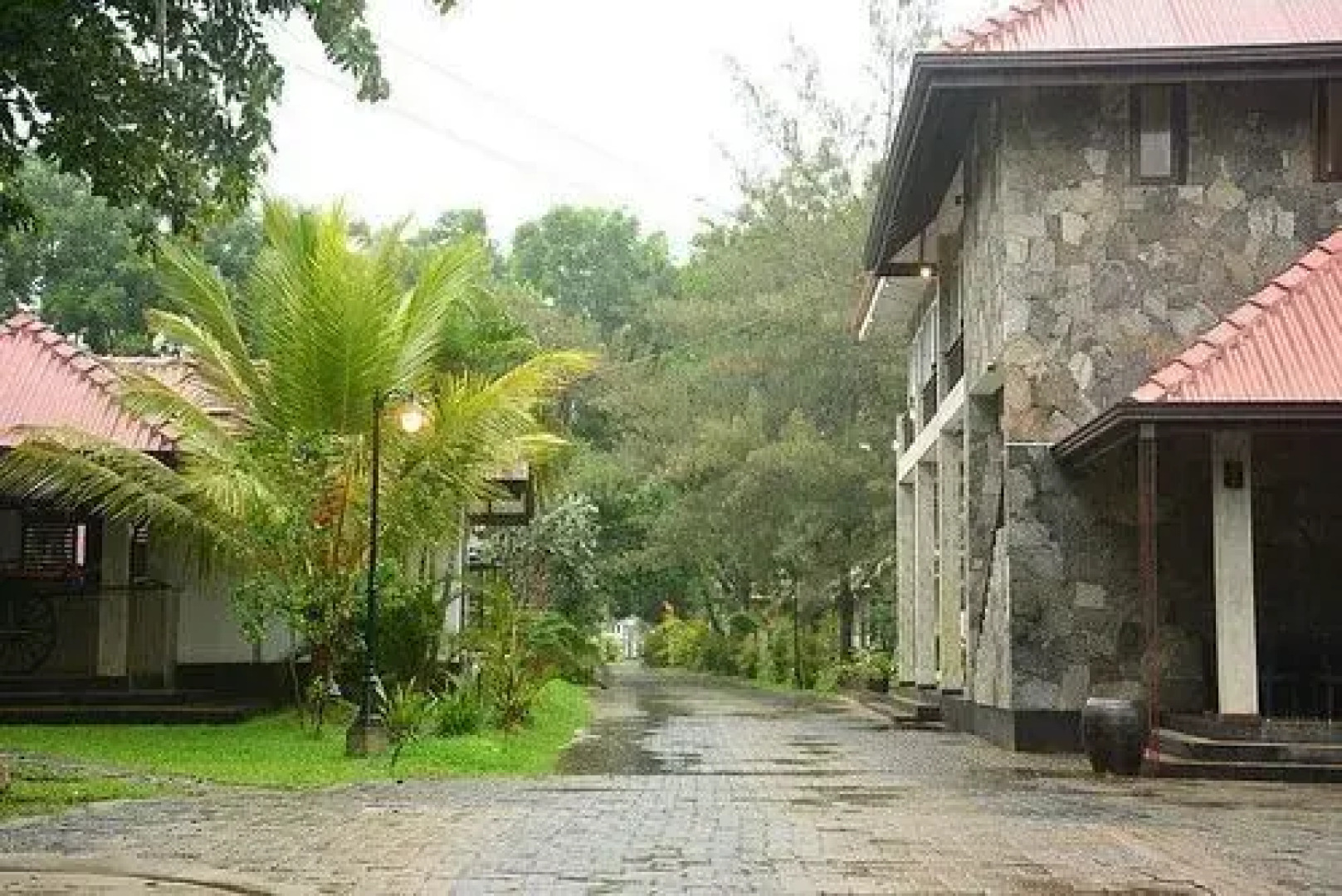 Oak Ray Elephant Lake