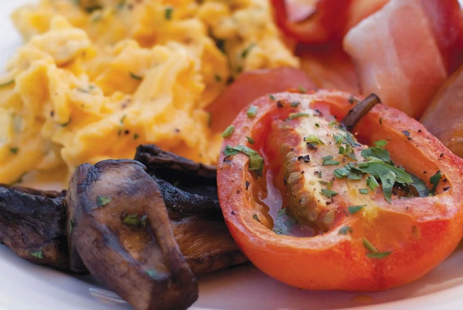 Eco Beach Wilderness Retreat