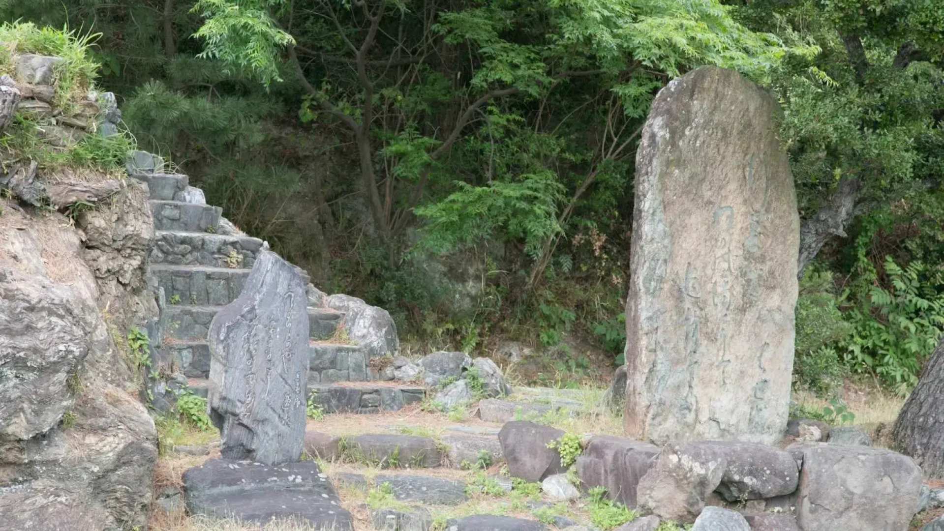 Hotel Shinwaka Lodge