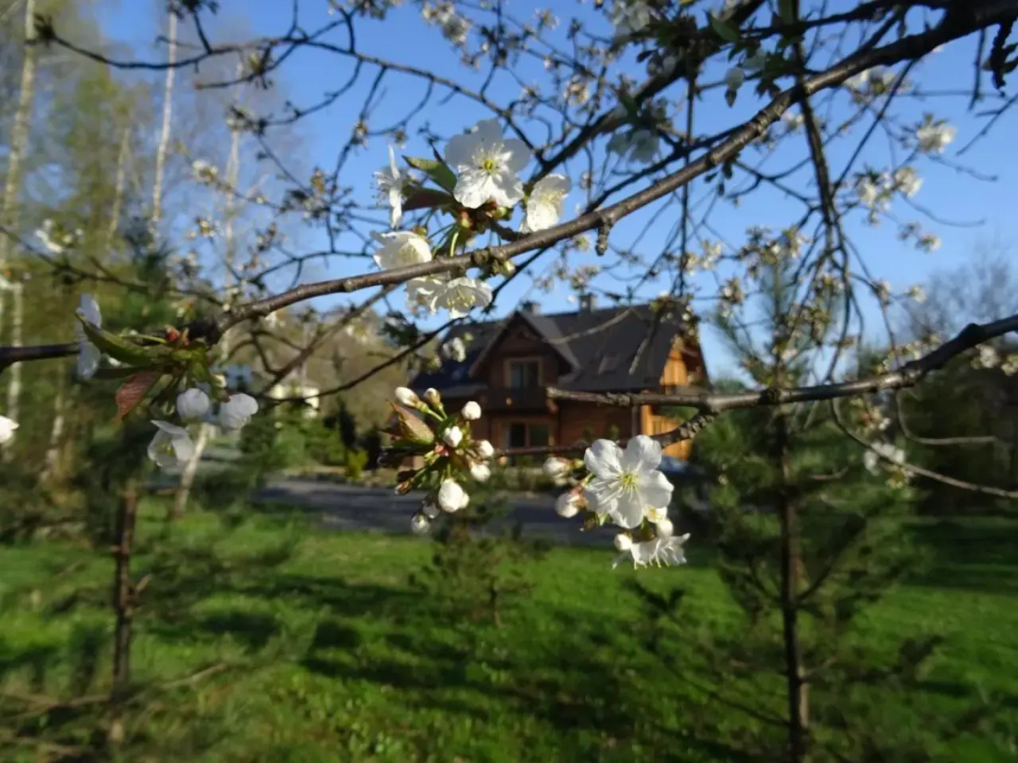 Potoczówka Apartamenty