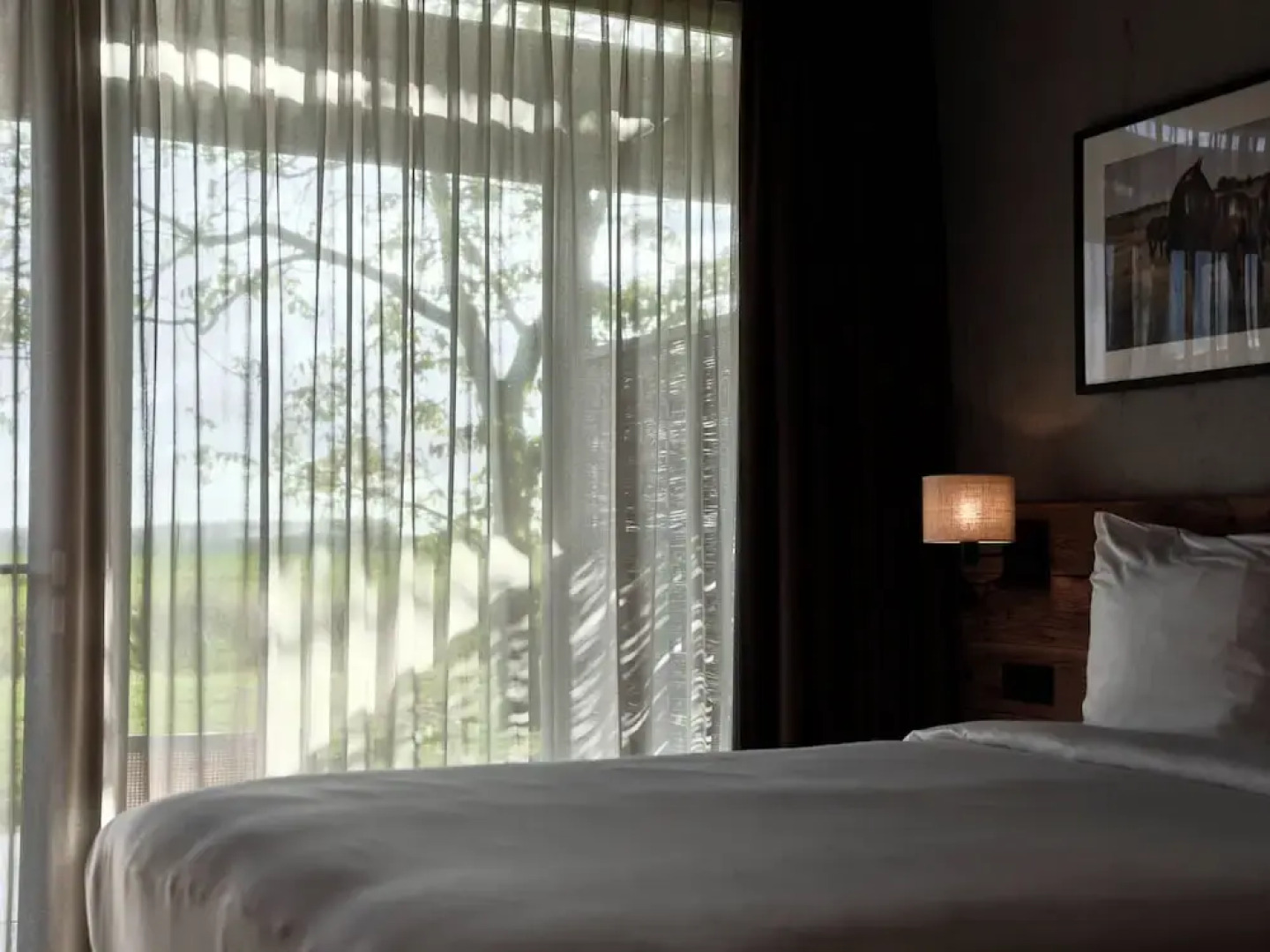 Hajé restaurant Nieuwegein