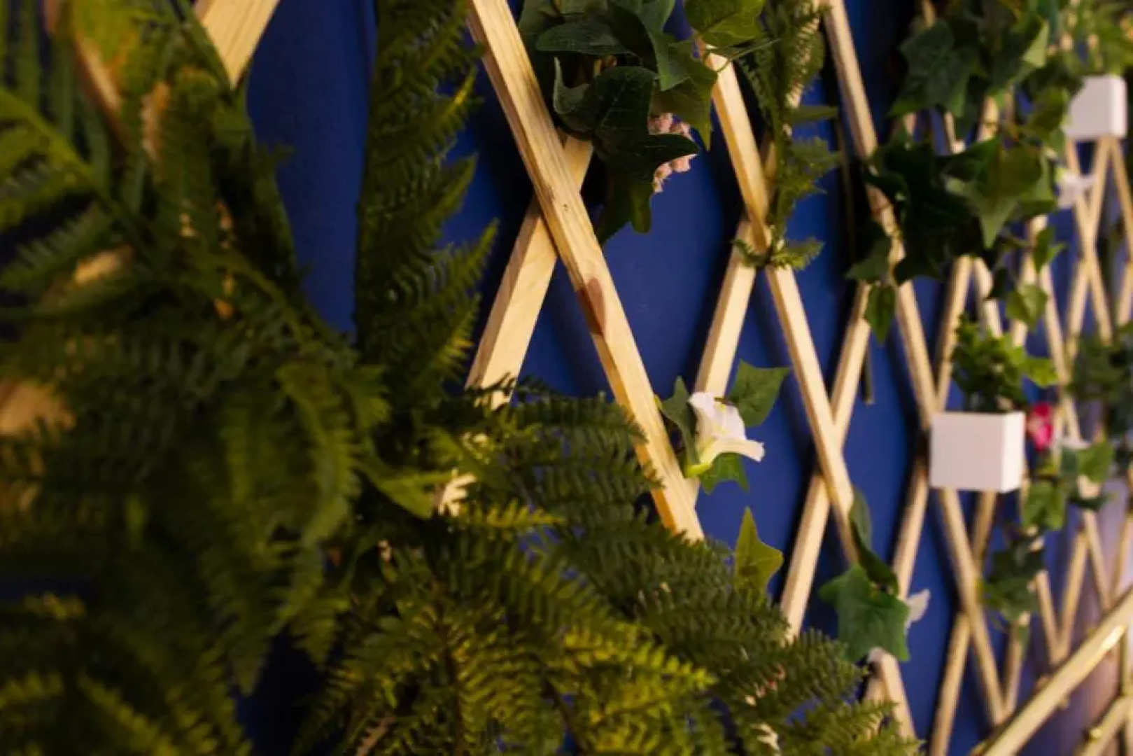 La Ringhiera Tropicale - free parking