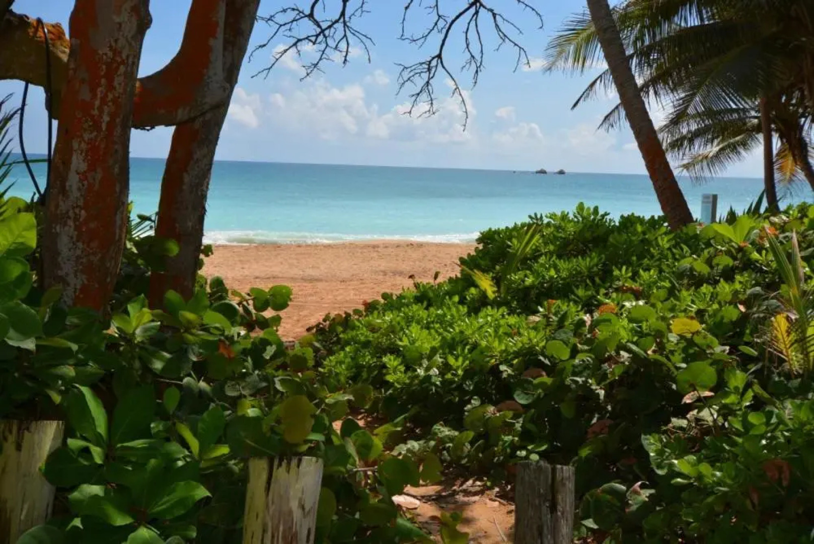 Crescent Cove 87 at Palmas