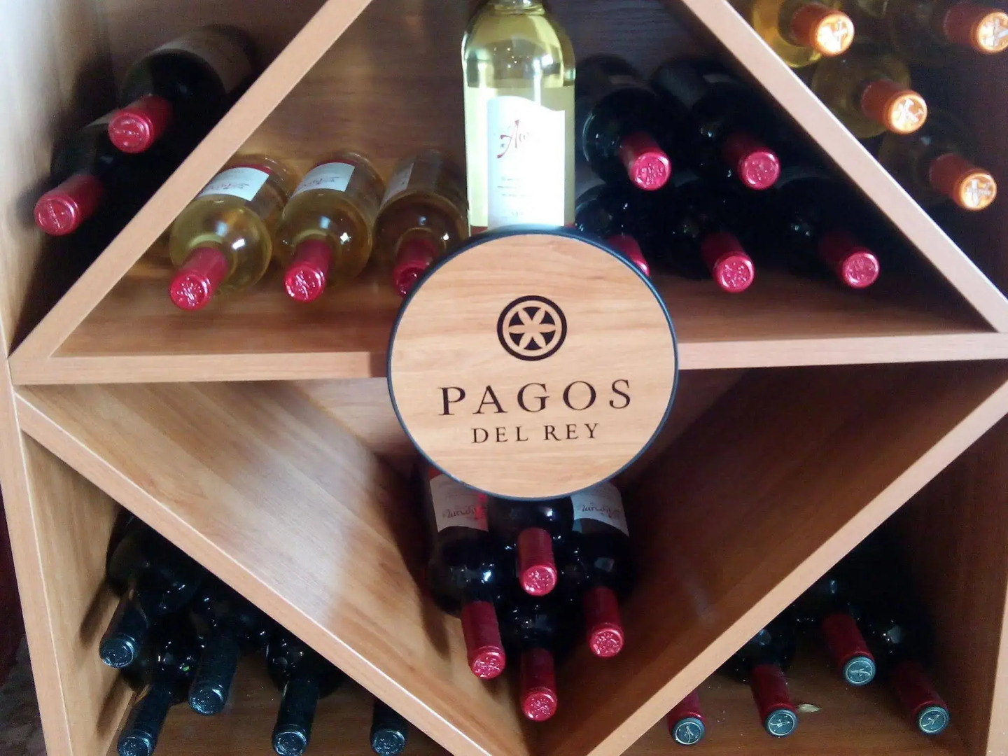 Nuevo Hotel Vista Alegre