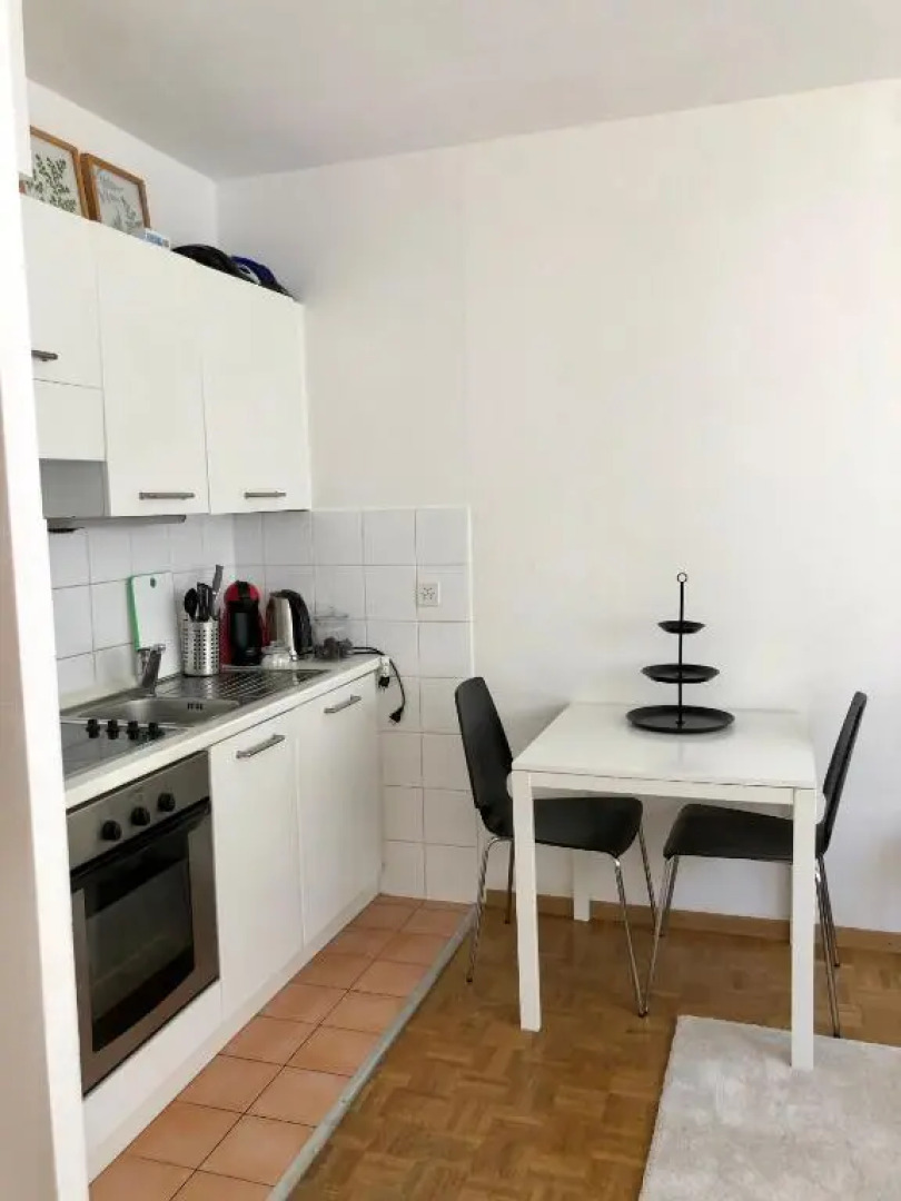 The Paquis Oasis in Central Geneva