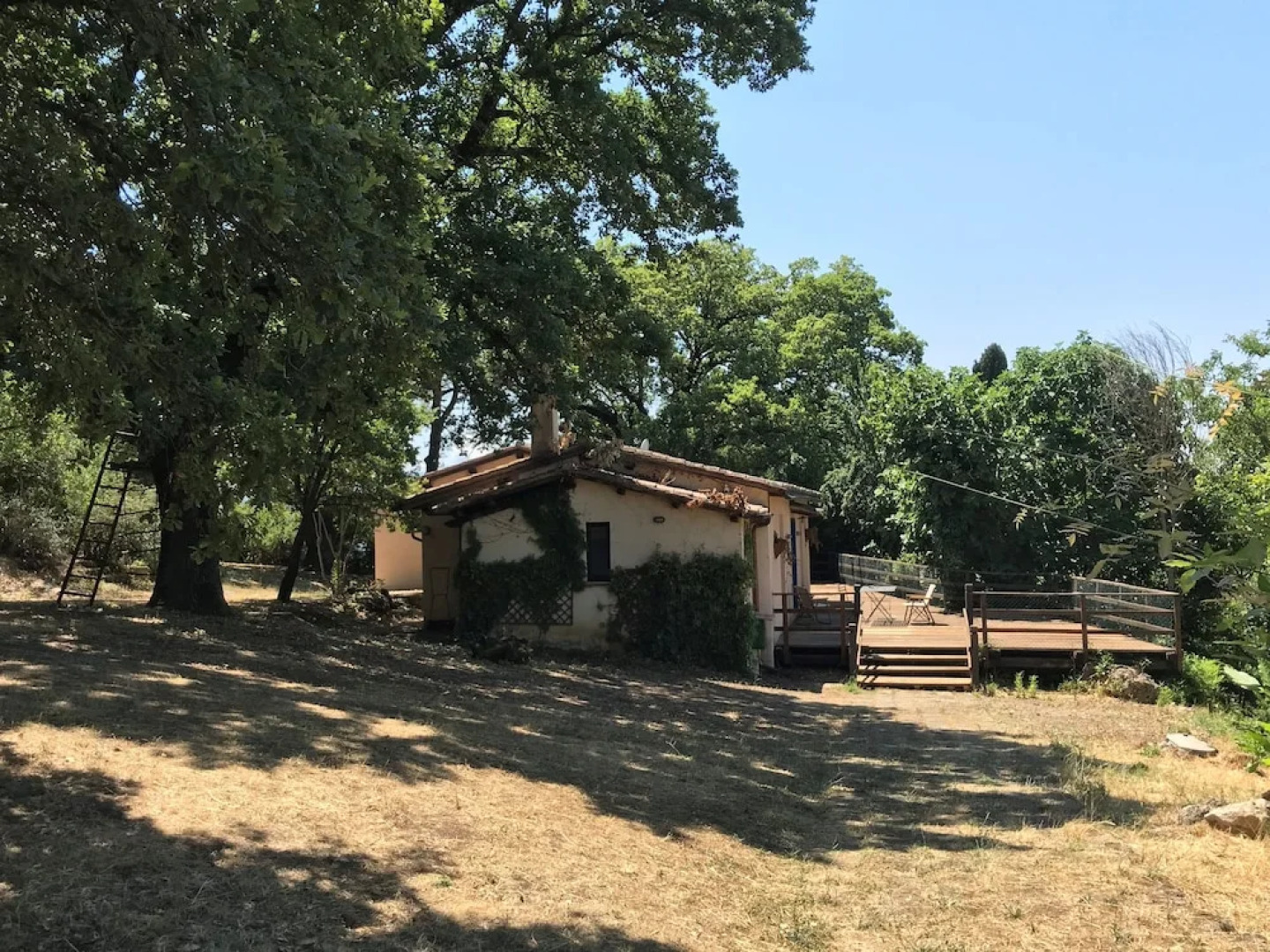 Donkeys and Roses La Casa delle Querce