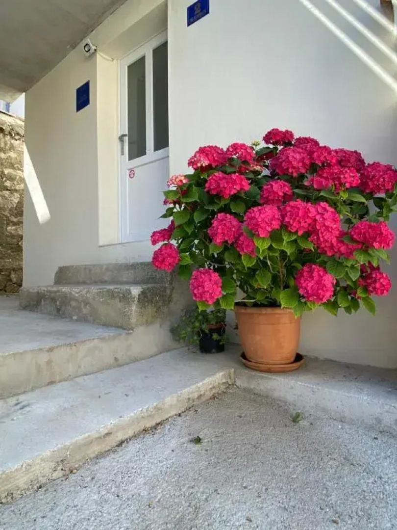 Center Studio Funtana