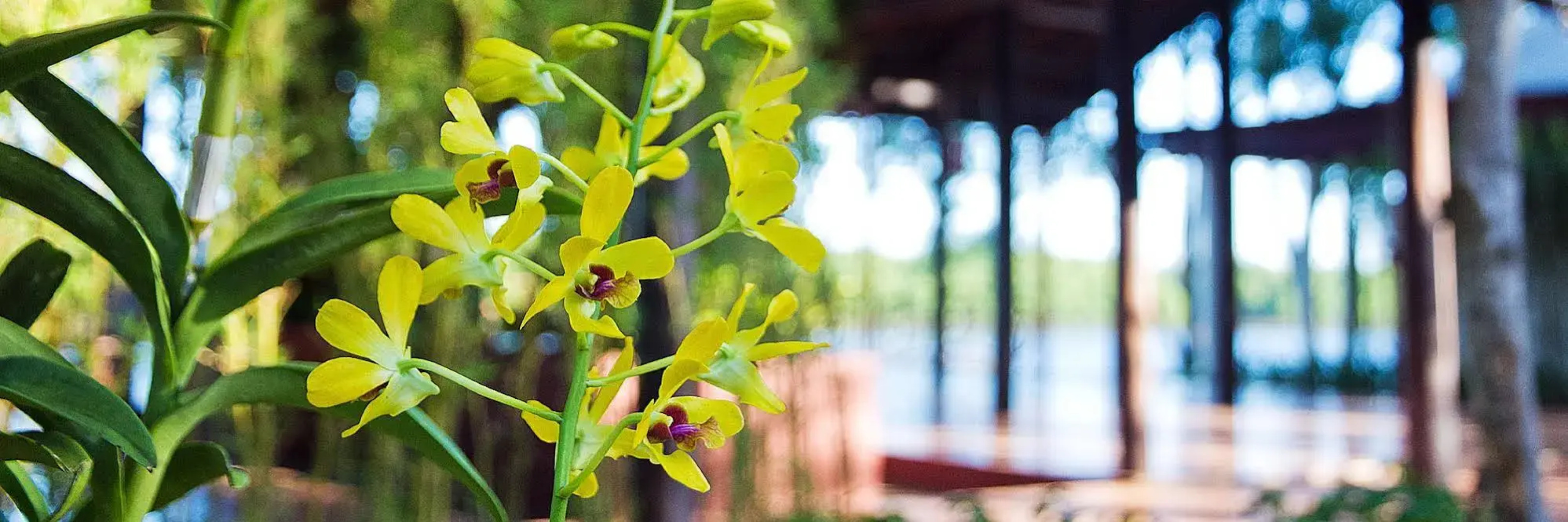 The Beach House Resort