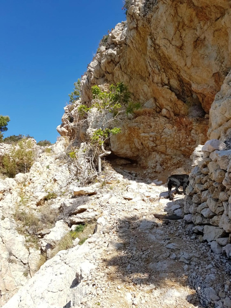 Starigrad kod Senja 60/a