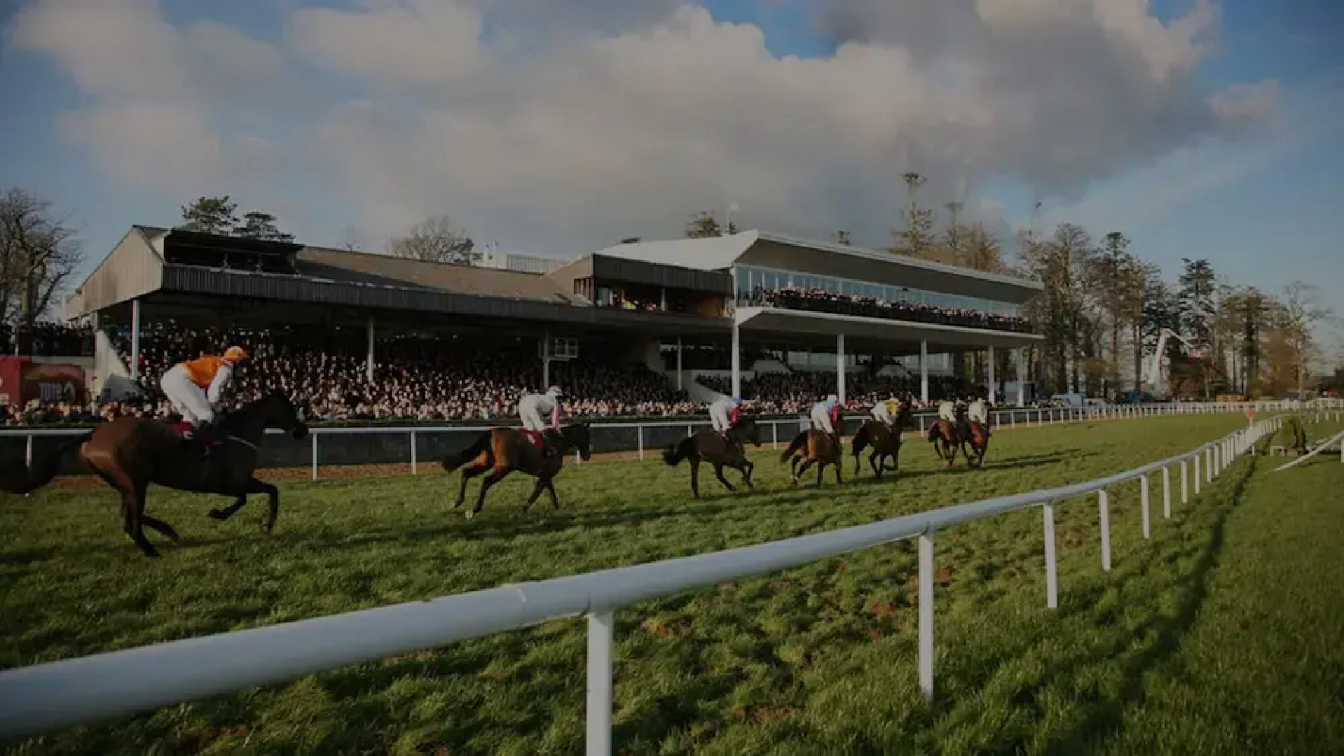 Mattys Pub & Apartments