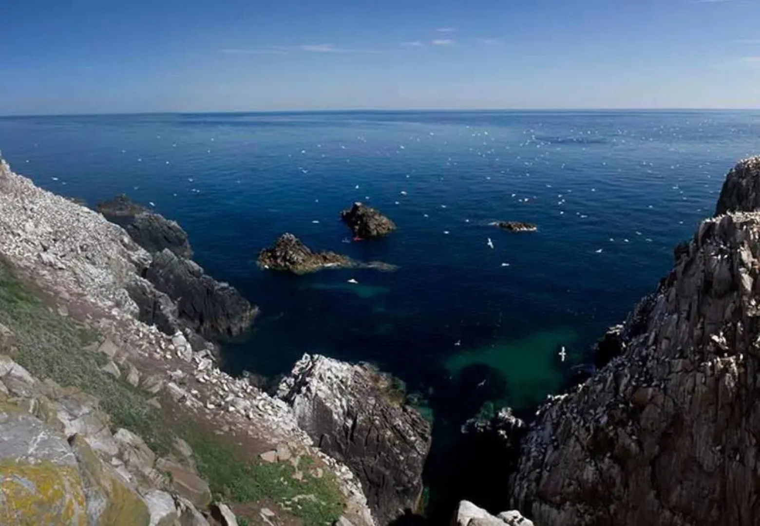 Forest Park Holiday Home No 13