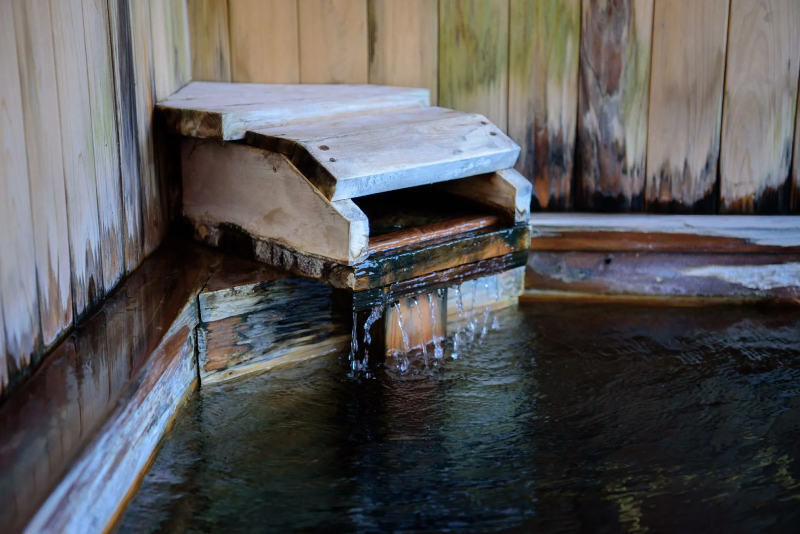 Wafu Ryokan Tsuenosho