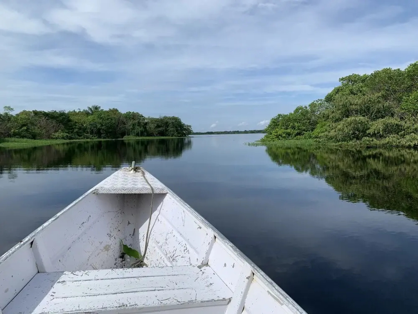 Alta Vista Amazon Lodge