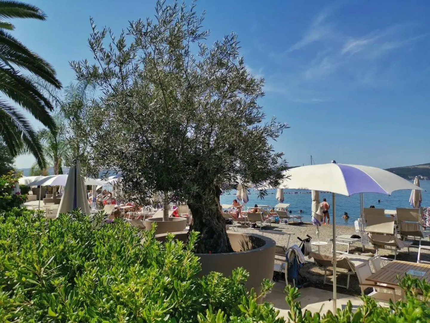 Apartments Villa Vera