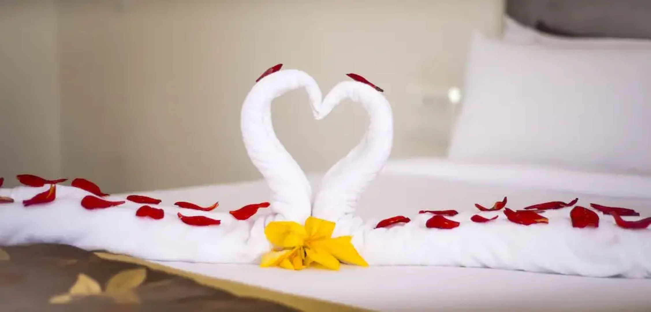 Starling River Resort