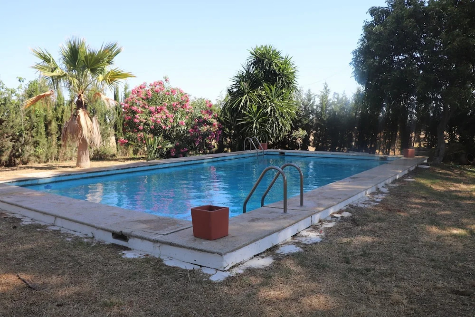 Hípica Rancho Alegre