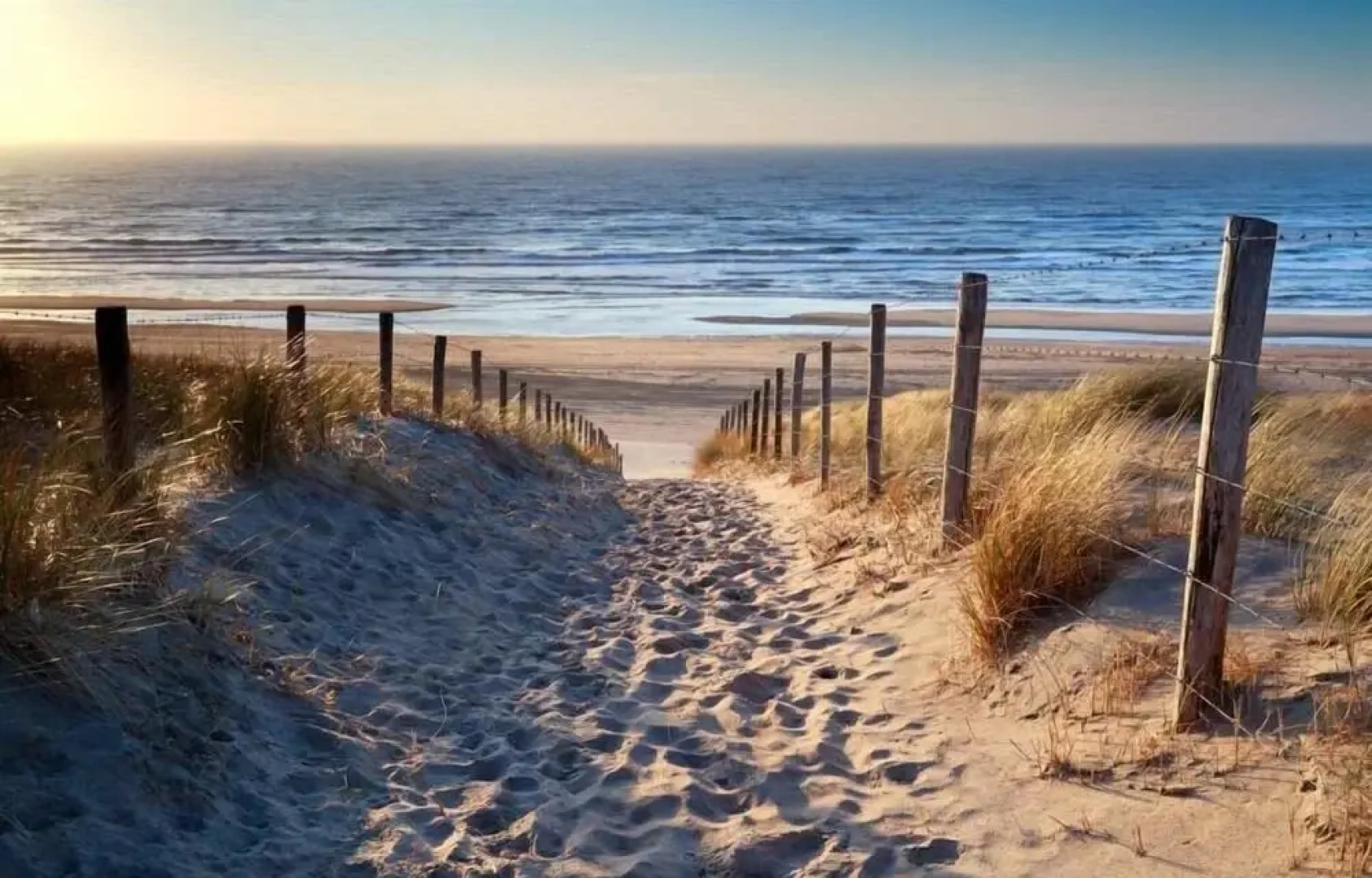 Villa Monte Dana Amsterdam