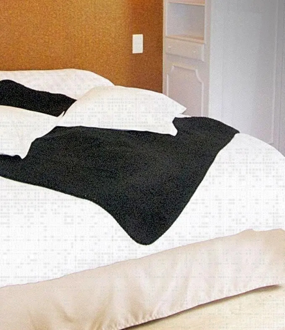 Castel du Pont d Oly