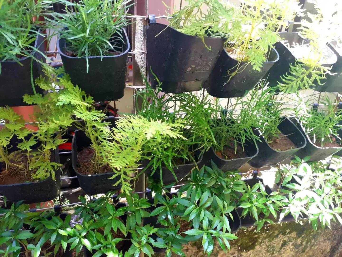 Vivaresidence Homestay