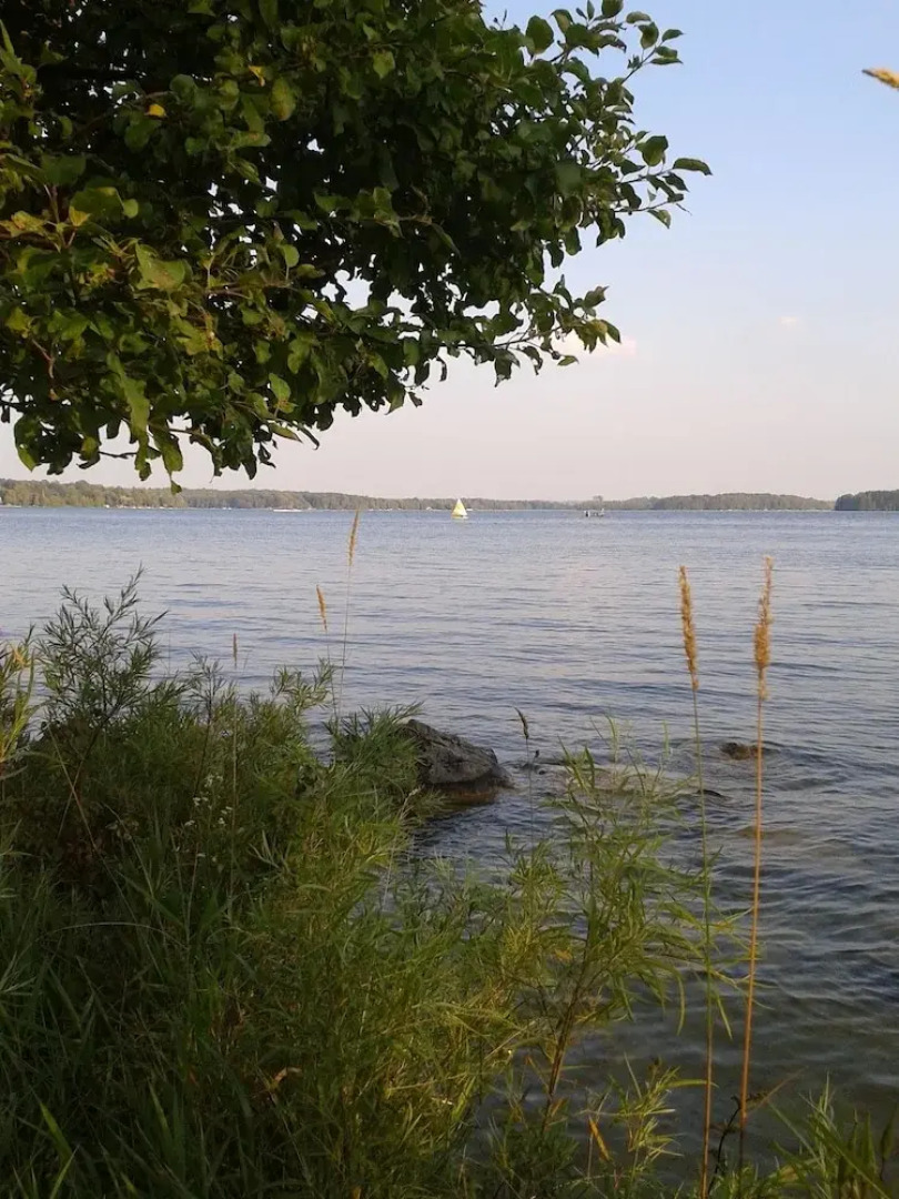 The Treehouse Bed & Breakfast