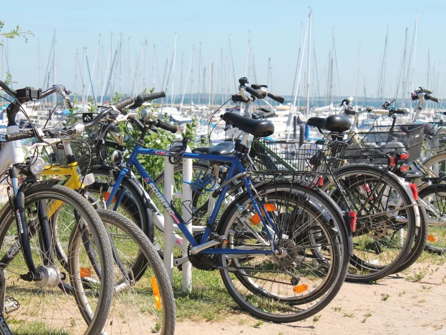 Vintage Apartment in Kröpelin near Forest
