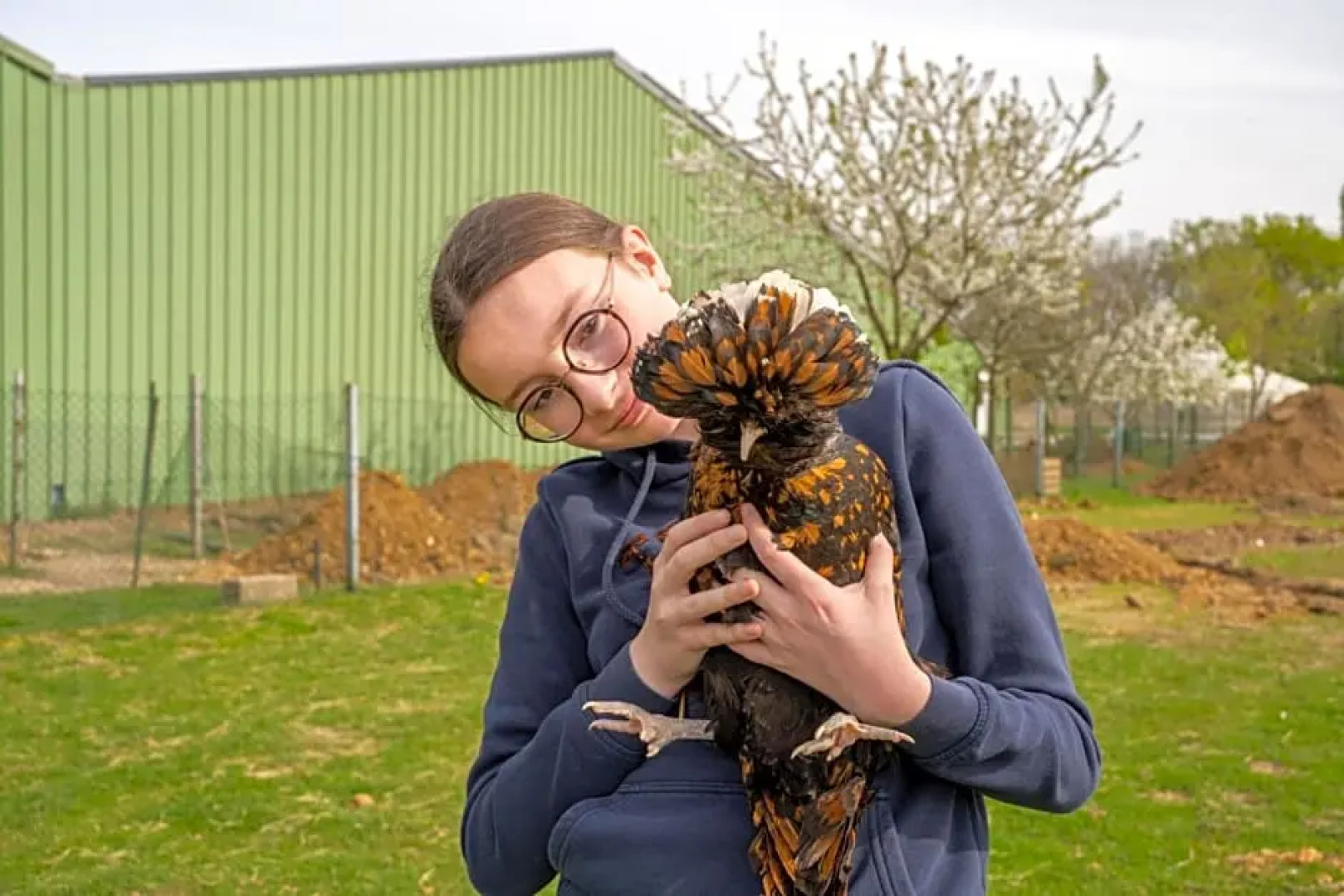 La Ferme du Moulin de Bois