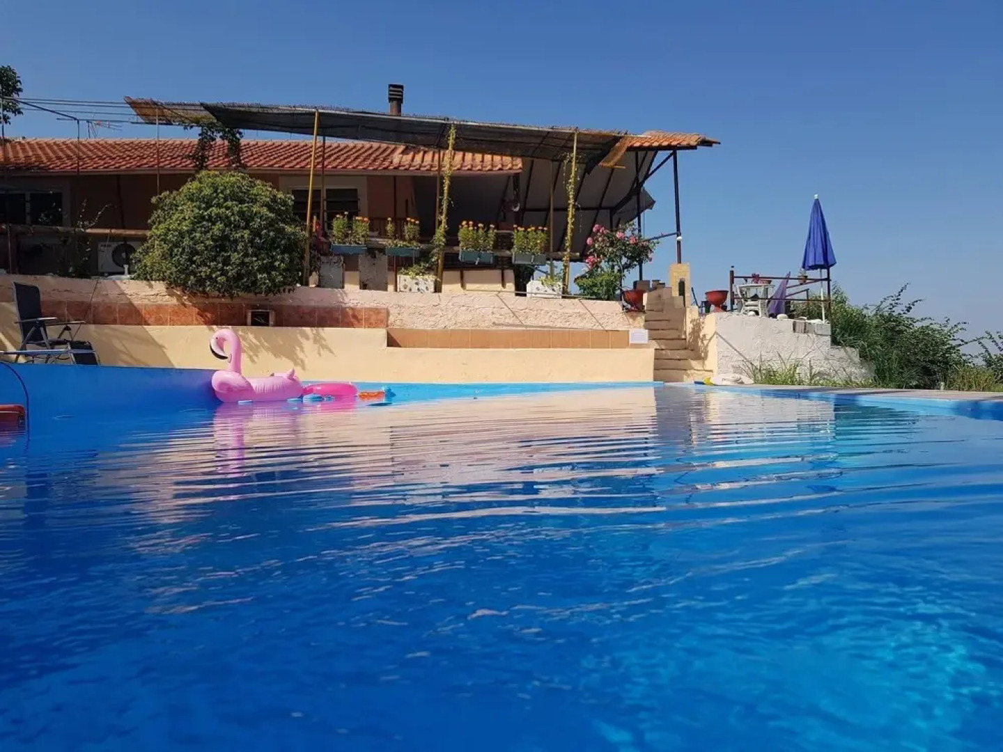 Farma Tsalta Olympus