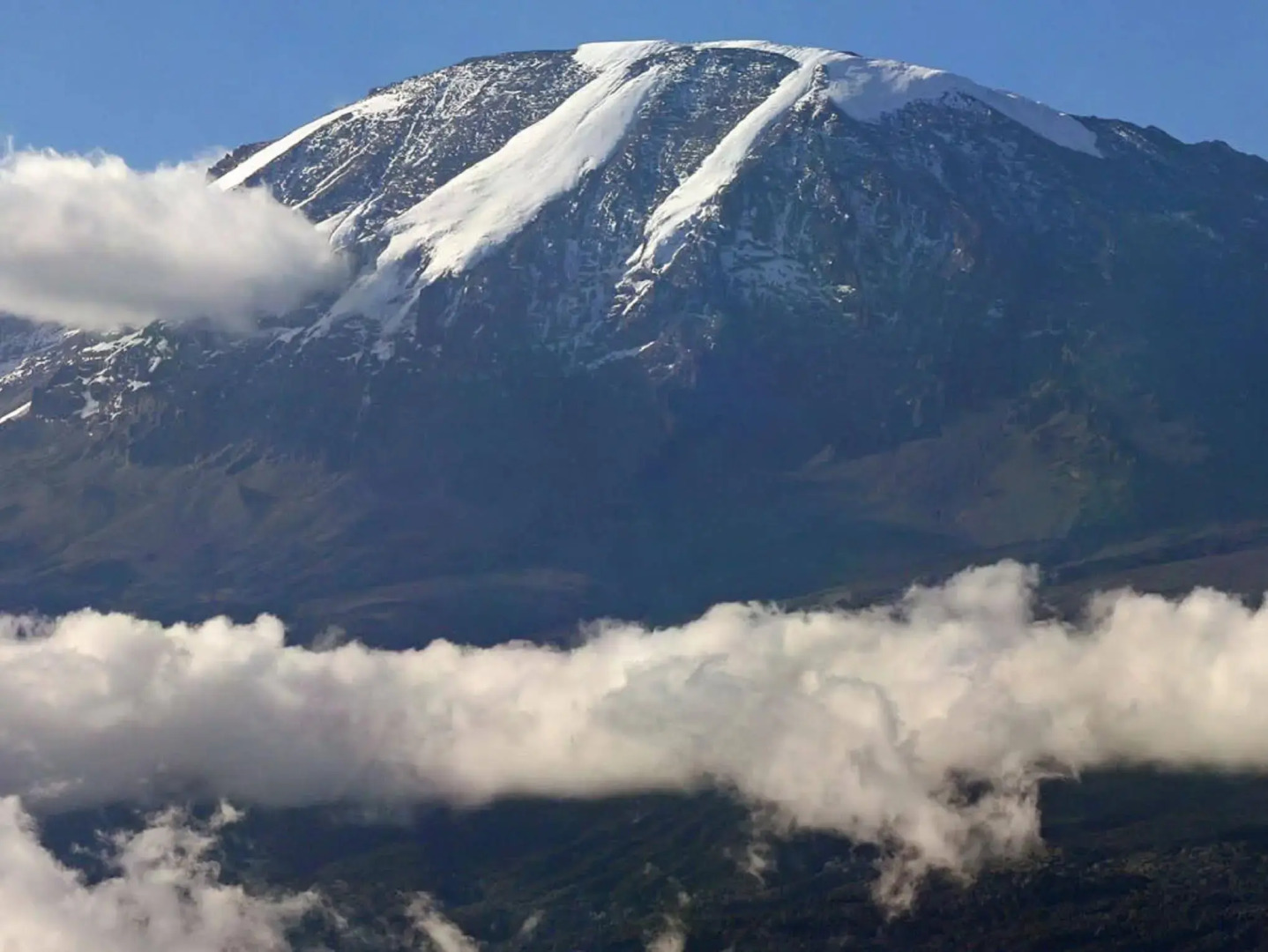 Weru Weru River Lodge