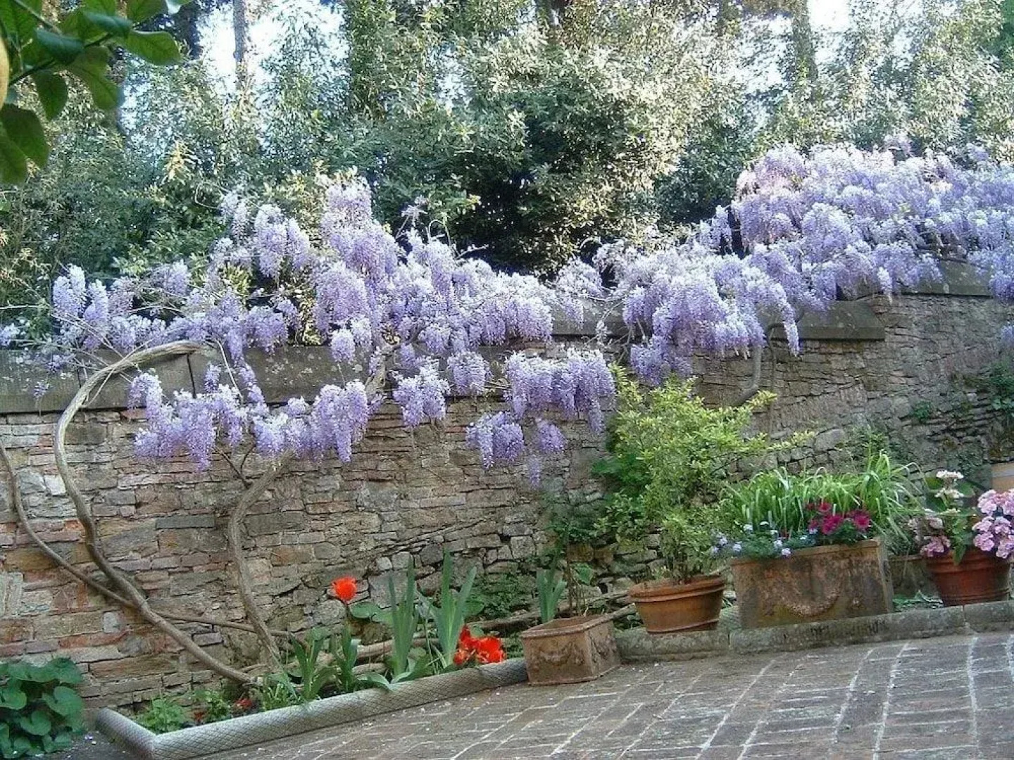 Bed and Breakfast Borgo Ponte dell'Asse