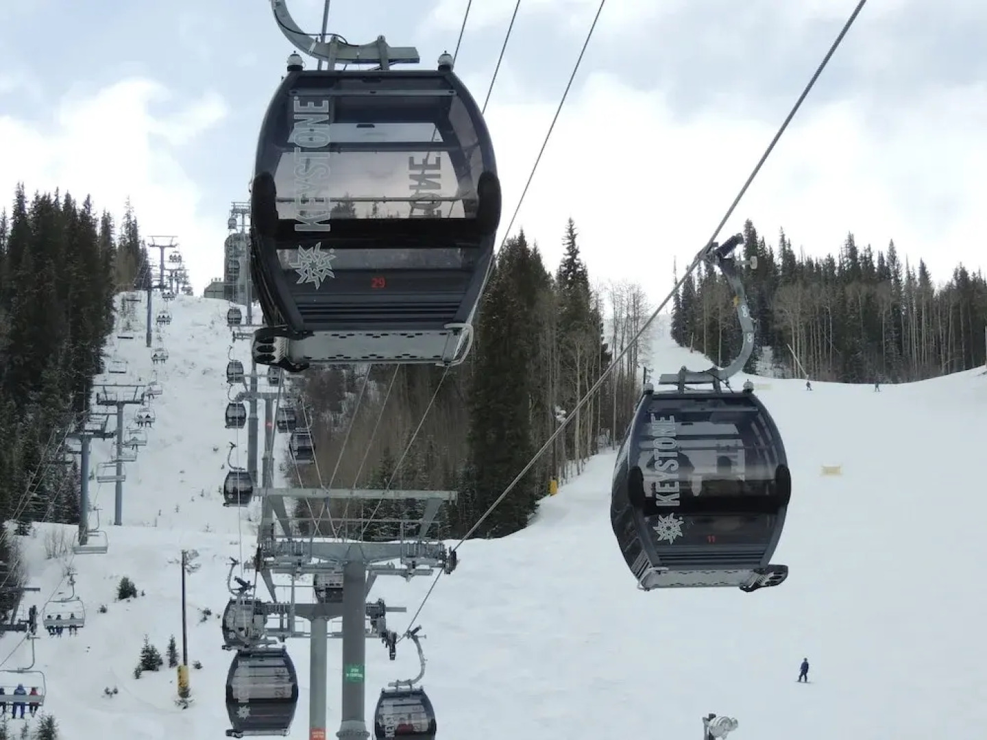 The Timbers on River Run