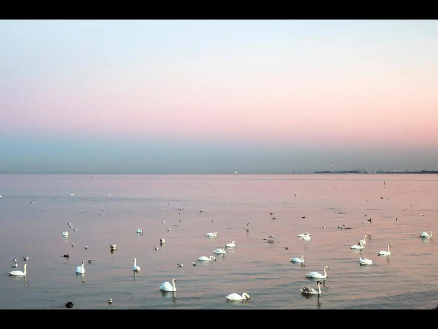 Apartament z prywatnym, krytym basenem