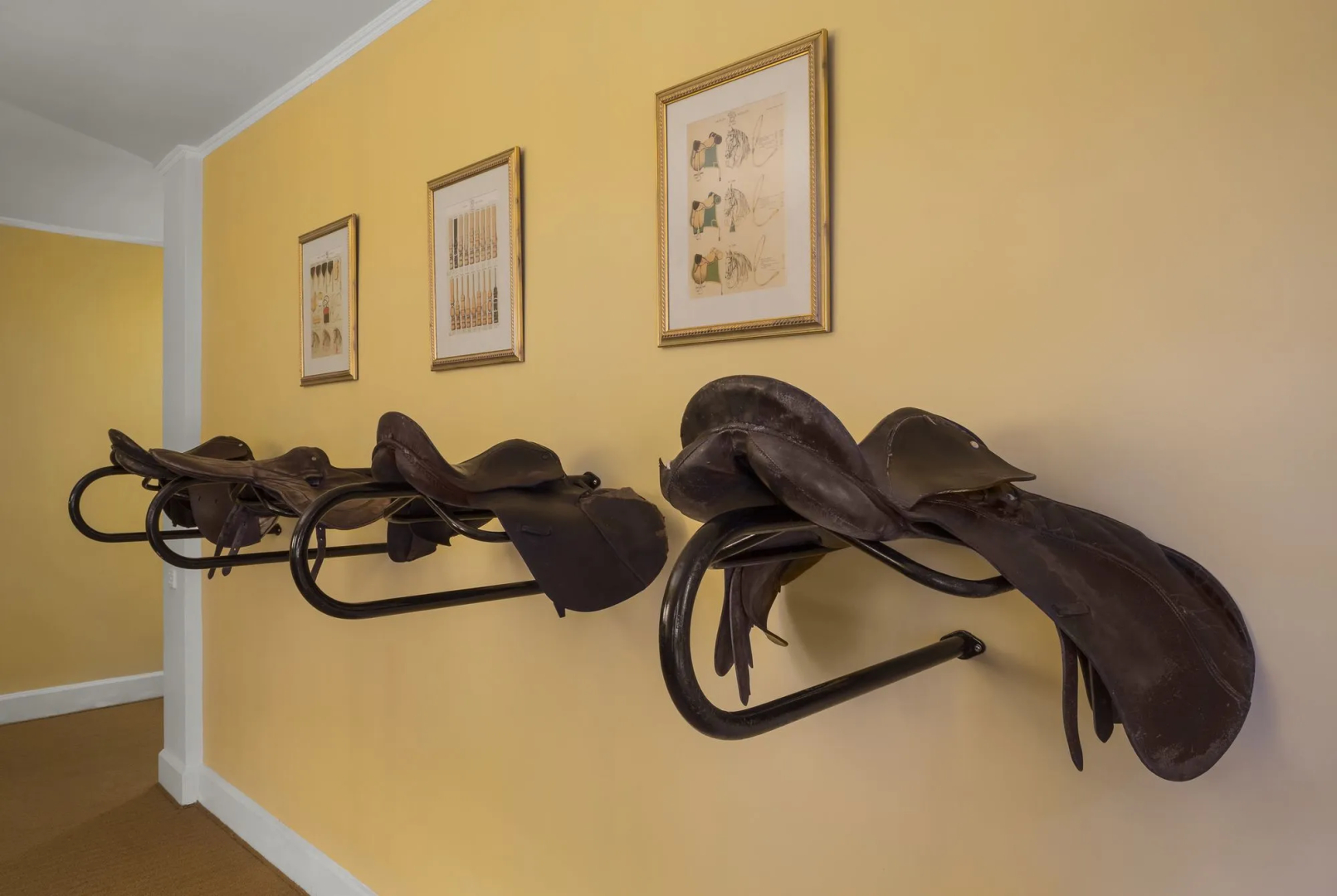 Hill Rise Luxury Villa & Stables by Edwards Collection