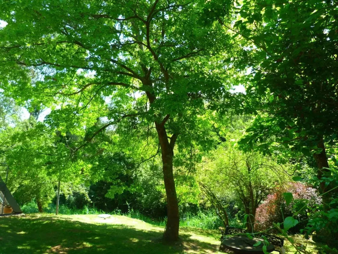 Quaint Holiday Home in Riudaura With Shared Pool